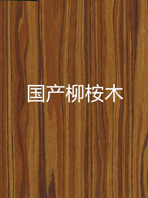 375f78fcb255656586383b566_副本.jpg