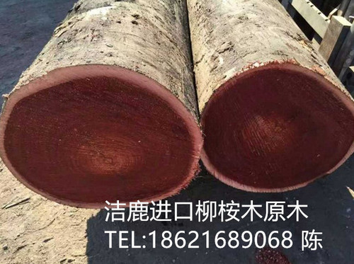 232499_副本.jpg