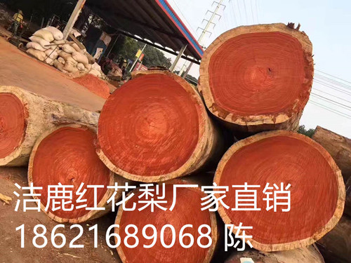 微信圖片_20180226175625_副本.jpg
