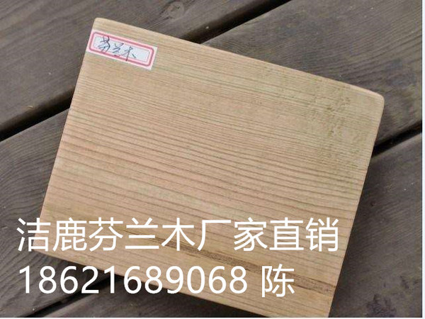 timg (4)_副本.jpg