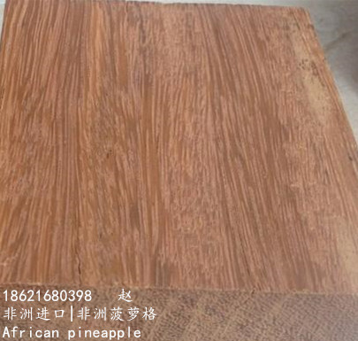 非洲菠蘿格 非洲菠蘿格