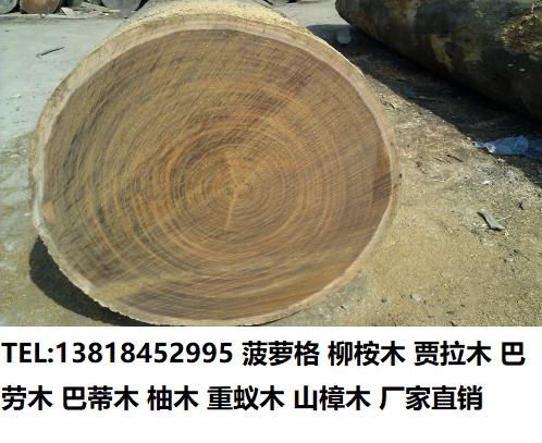 u=3091169830,1168298442&fm=27&gp=0.jpg