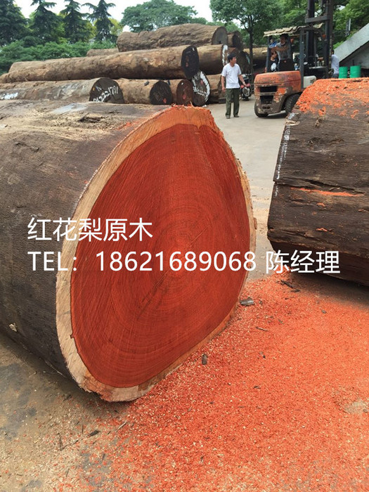 9236461_1141298714_副本.jpg