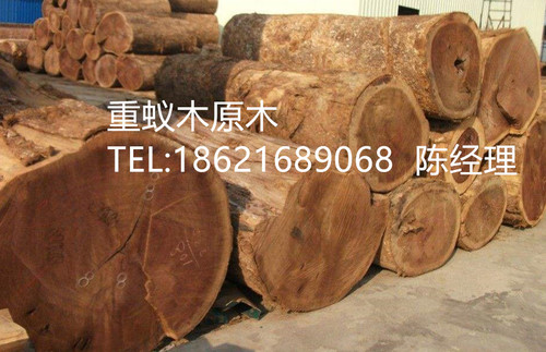潔鹿0213(2)_副本.jpg
