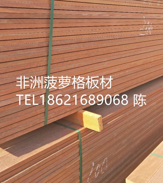 24554非洲.jpg