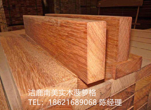 timg (1)_副本.jpg
